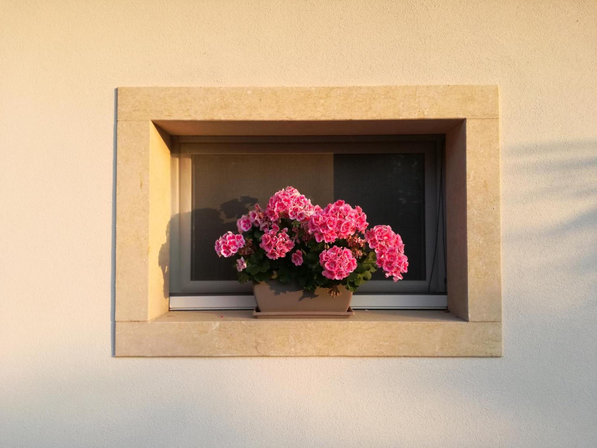 Relais Colle San Giorgio Bed and Breakfast Bardolino Exteriör bild