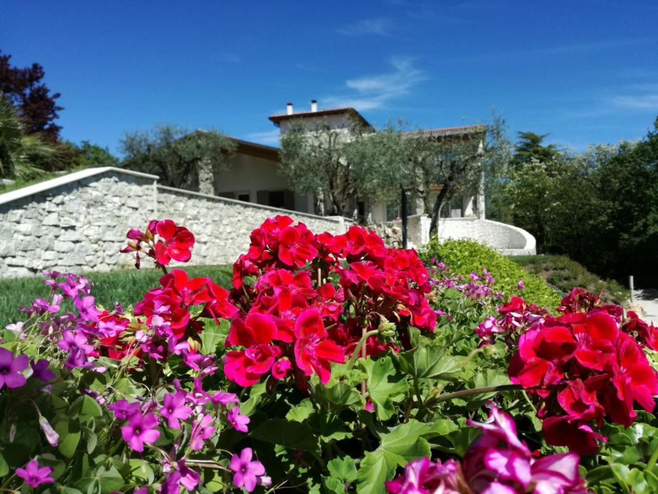 Relais Colle San Giorgio Bed and Breakfast Bardolino Exteriör bild